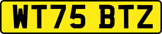 WT75BTZ