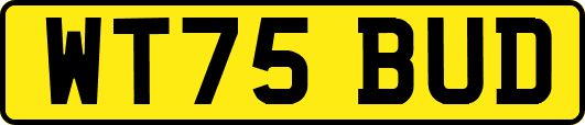 WT75BUD