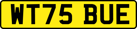 WT75BUE