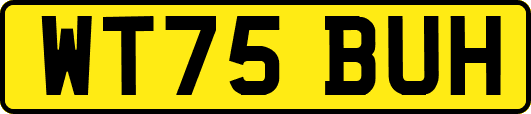 WT75BUH