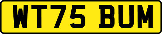 WT75BUM