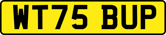 WT75BUP