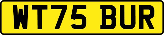 WT75BUR