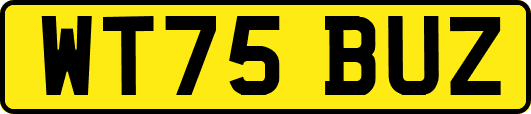 WT75BUZ