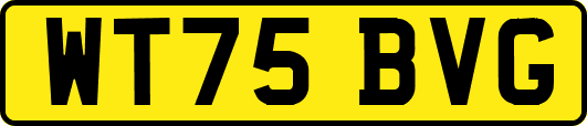 WT75BVG