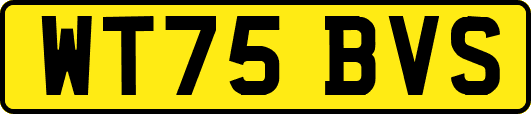 WT75BVS
