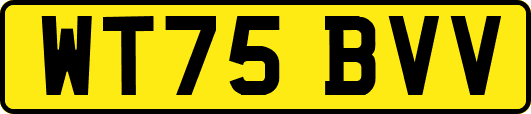 WT75BVV