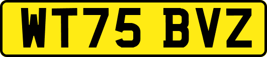 WT75BVZ