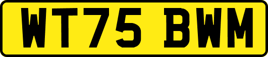 WT75BWM