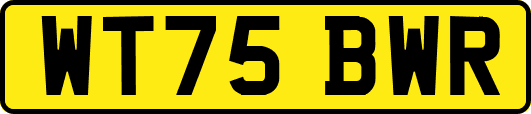 WT75BWR