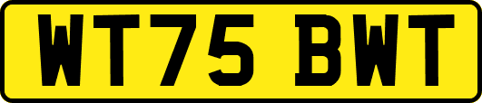 WT75BWT