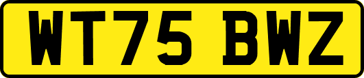 WT75BWZ