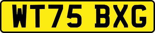 WT75BXG