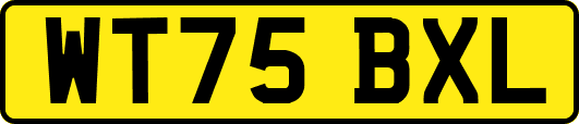WT75BXL