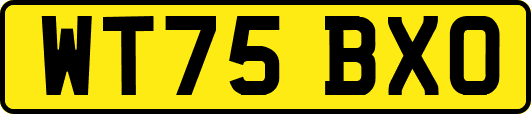 WT75BXO