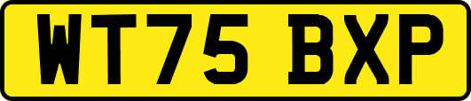 WT75BXP