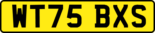 WT75BXS