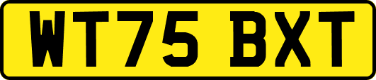 WT75BXT
