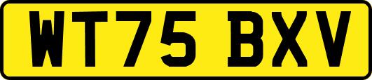 WT75BXV