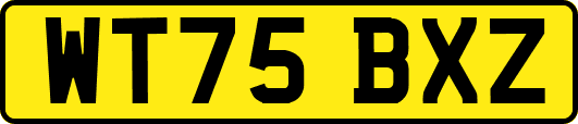 WT75BXZ
