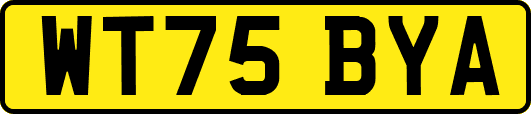 WT75BYA