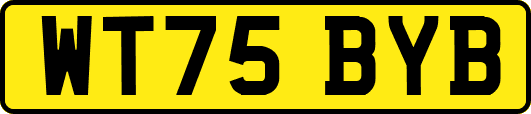 WT75BYB