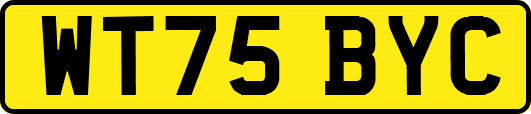 WT75BYC