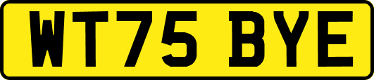 WT75BYE