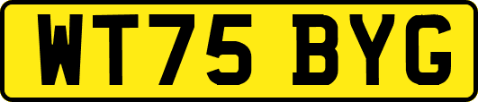 WT75BYG