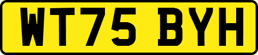 WT75BYH