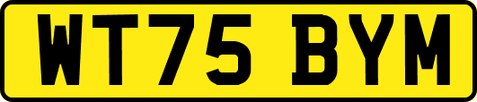 WT75BYM