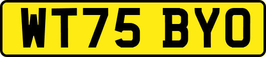 WT75BYO