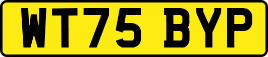 WT75BYP
