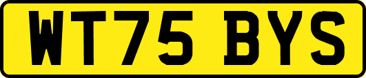 WT75BYS