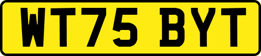 WT75BYT