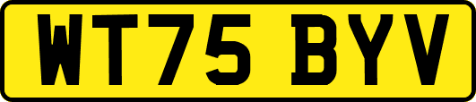 WT75BYV