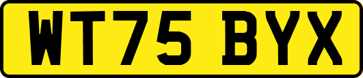 WT75BYX