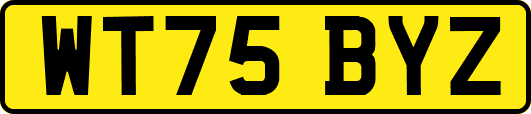 WT75BYZ