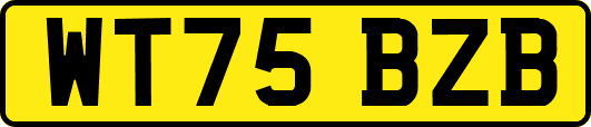 WT75BZB
