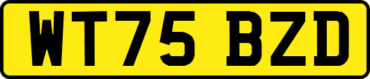 WT75BZD
