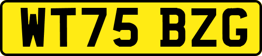 WT75BZG