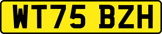 WT75BZH