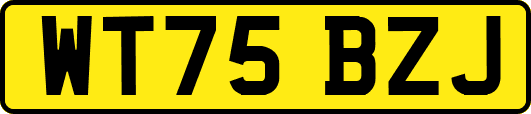 WT75BZJ