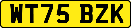 WT75BZK