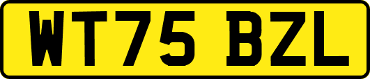 WT75BZL