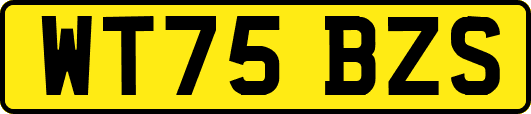 WT75BZS