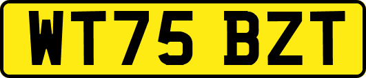 WT75BZT