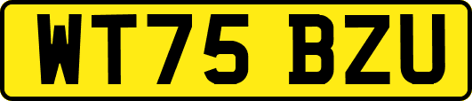 WT75BZU