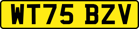 WT75BZV