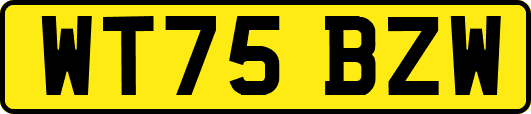 WT75BZW